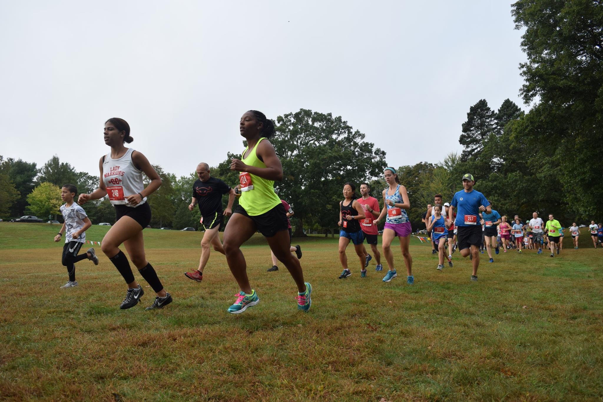 22467718_1532280336858477_83190062261392052_o