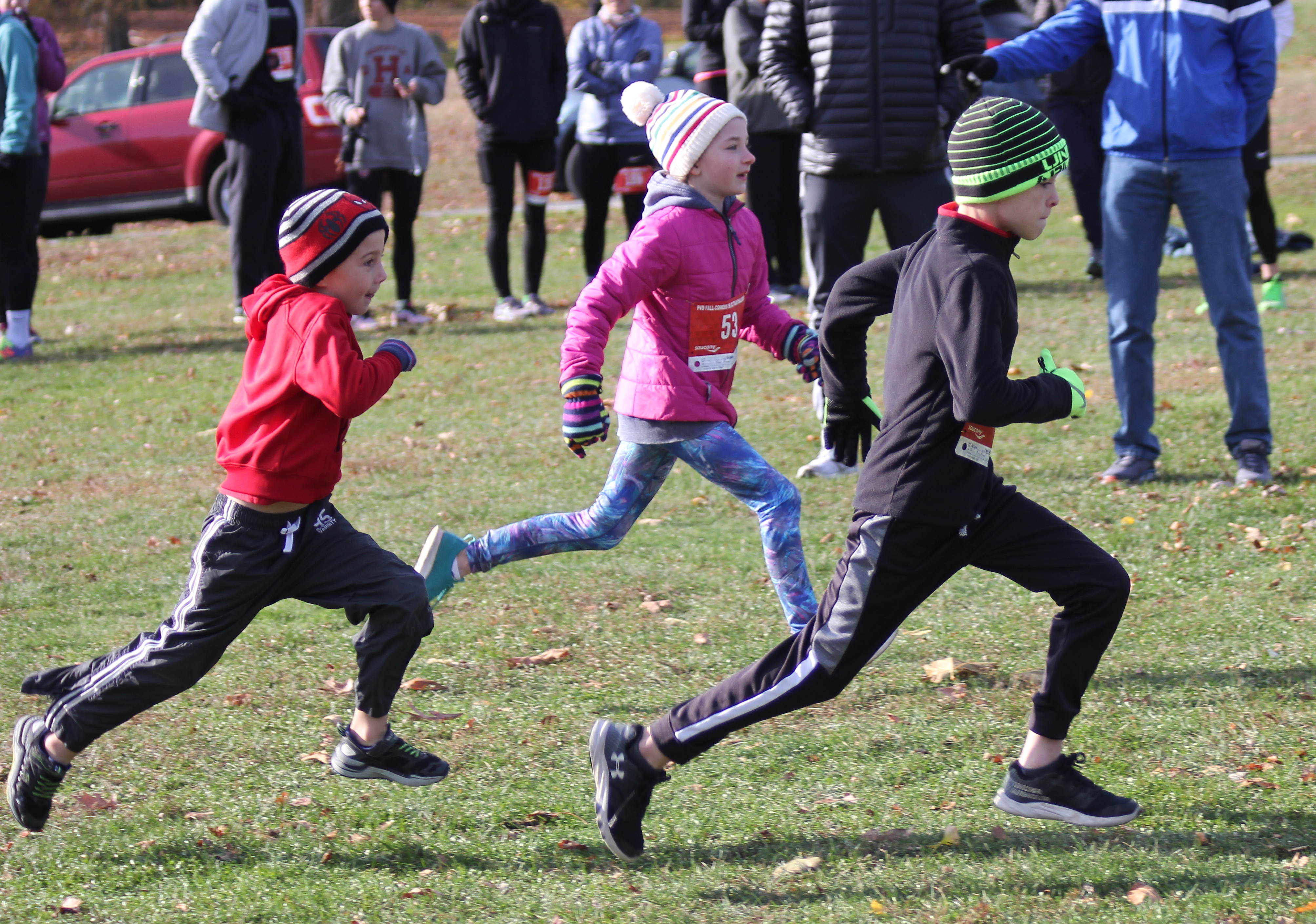 49039441433_813fa9e779_o