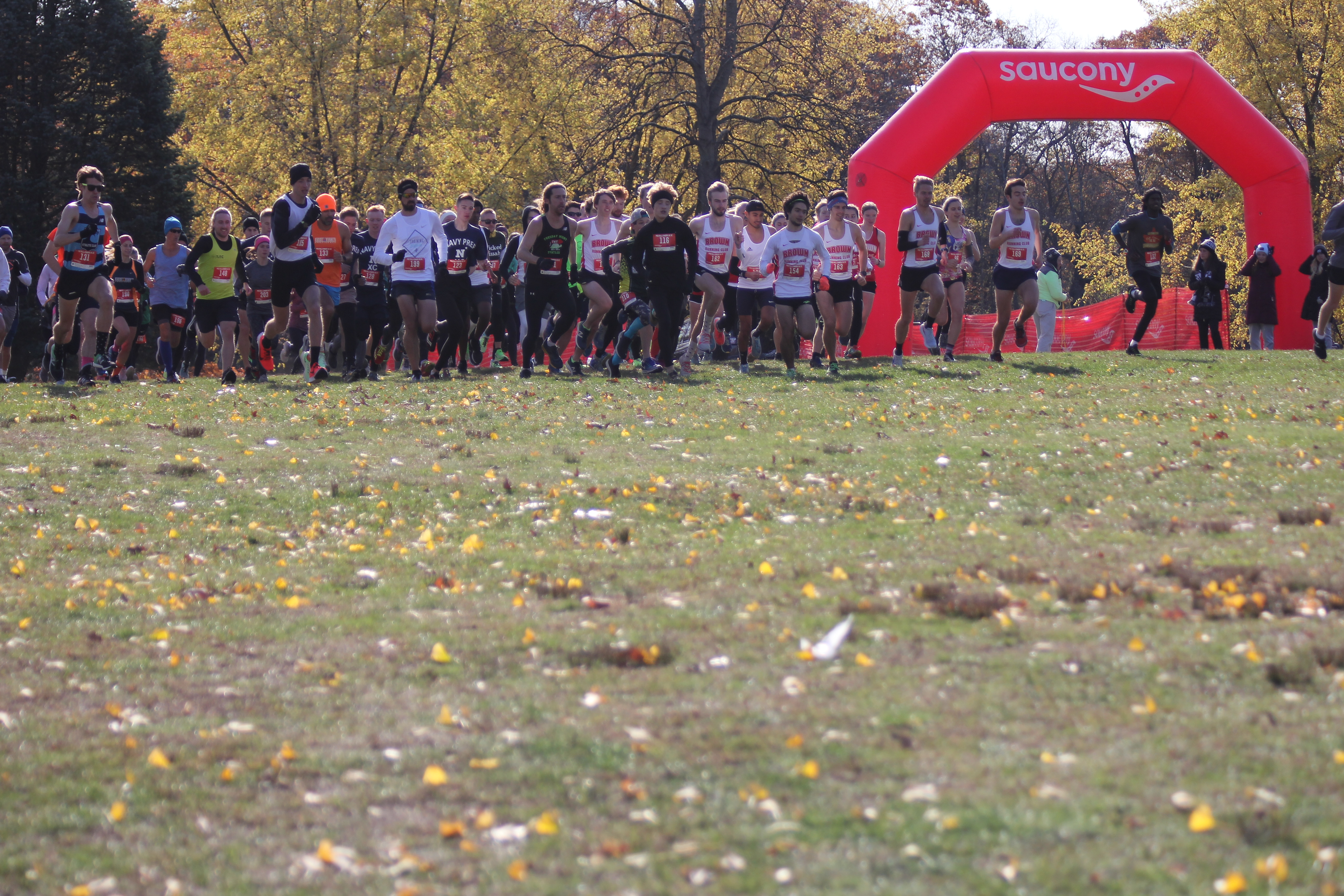 49039458833_e7966cc9ec_o